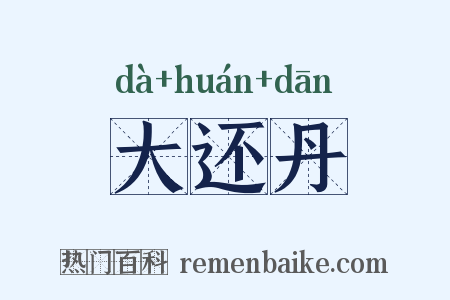 大还丹是什么意思的图片